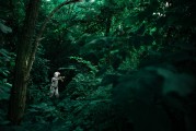 夢(mèng)中的騎行之旅，一次難忘的自行車夢(mèng)，夢(mèng)中的騎行之旅，難忘的自行車夢(mèng)之旅