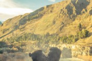 探索Mia免費(fèi)游戲世界，一個(gè)全新的冒險(xiǎn)旅程，進(jìn)入Mia的免費(fèi)游戲世界，全新冒險(xiǎn)旅程的探索開始！