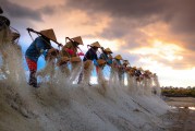 種地免費(fèi)游戲，開(kāi)啟你的農(nóng)業(yè)夢(mèng)想之旅，種地大富翁，啟動(dòng)你的農(nóng)田冒險(xiǎn)之旅，免費(fèi)享受農(nóng)業(yè)的樂(lè)趣