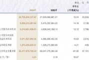 申萬宏源去年?duì)I收增長(zhǎng)超15%，投行業(yè)務(wù)收入降逾27%