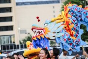 暢游游戲世界，免費大型單機游戲的魅力與魅力，一款不容錯過的免費大型單機游戲，魅力無限的游戲世界等待您的探索