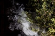 蒸汽朋克風(fēng)格的植物大戰(zhàn)僵尸，植物刺客，一款無(wú)需付費(fèi)的游戲，蒸汽朋克植物戰(zhàn)爭(zhēng)僵尸，免費(fèi)游戲帶你體驗(yàn)?zāi)┤丈? title=