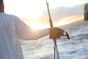夢游深海，與巨魚共舞，夢游深海，共舞巨魚之旅
