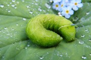 綠色先鋒，守護碧水藍天—環(huán)保新聞聚焦，碧水藍天守護者，綠色先鋒環(huán)保紀實
