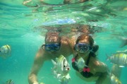 夢(mèng)到逮魚的奇妙之旅，夢(mèng)中的逮魚奇妙之旅