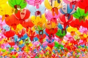 夢境中的老鼠狂歡，夢境中的老鼠狂歡之旅
