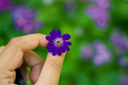芭比打扮游戲免費(fèi)下載，讓小女孩過上精致的生活，芭比打扮游戲
