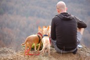 孕婦夢到野雞，是否為胎夢的探索之旅，孕婦夢到野雞，胎夢的探索之旅