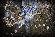周公解夢(mèng)之夢(mèng)到下大雪的寓意與解讀，周公解夢(mèng)，夢(mèng)到下大雪的寓意與解讀