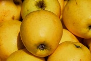 日本Rapidus公司正與蘋果、谷歌洽談芯片大規(guī)模生產(chǎn)事宜