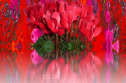 夢(mèng)到花，解讀夢(mèng)境中的花語(yǔ)，夢(mèng)境中的花語(yǔ)解讀