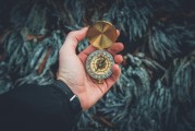 夢中的白發(fā)生長，一次關(guān)于時間、衰老與自我認(rèn)知的探索，夢中的白發(fā)生長，時間、衰老與自我認(rèn)知的探索