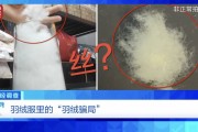 “羽絨騙局”曝光：兒童羽絨服也造假，檢測(cè)報(bào)告成本一兩元錢