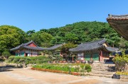 夢(mèng)中的攀爬之旅，夢(mèng)中的攀爬之旅之旅