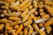 如何應(yīng)對(duì)期貨回撤問(wèn)題？有哪些有效策略？