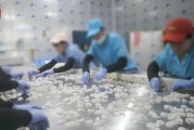 查封！關(guān)停！各地多部門連夜查處3·15曝光問題