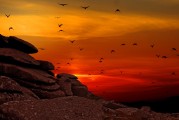 飛翔之夢(mèng)，夢(mèng)到飛上天空的奇幻之旅