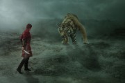 夢(mèng)中的勇氣，與老虎搏斗的奇幻之旅，夢(mèng)中的勇氣，與老虎搏斗的奇幻之旅