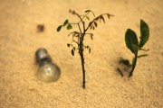 輕盈的夏日午后——輕松享受薄荷游戲免費(fèi)，輕松享受，夏季薄荷游戲——只用一包薄荷