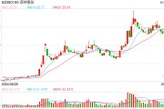機器人概念連續(xù)反彈，科創(chuàng)50指數(shù)半日漲0.45%