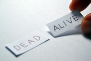 網約車注冊申請全攻略，輕松開啟你的網約車司機生涯，網約車司機之路，一站式注冊申請指南