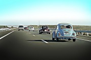 賽車之夢，速度與激情的交織，賽車之夢，速度與激情的交織