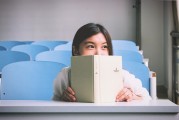打造視覺(jué)盛宴，探索與美化插件網(wǎng)站的完美融合
