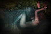 野貓之夢，神秘、自由的象征，野貓之夢，神秘自由的象征
