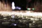 夢中的污濁之水，心靈的反思與啟示