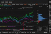 路通視信資金占用形成的關(guān)聯(lián)交易，投資者可索賠！