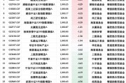 基金“自購潮”業(yè)績顯分化：29只權益類基金僅4為正收益，華安先進制造A年內跌12%墊底