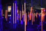 夢中喜宴，一場難忘的盛宴，夢中喜宴，難忘的盛宴之旅