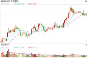 董事長被留置并立案調(diào)查 股價盤中一度跌超10% 萬辰集團如何化解危機？