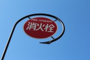 無廣告、無內(nèi)購、無充值的跑酷游戲大放送！為愛發(fā)電
