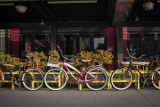 "車庫(kù)禁停新能源車"？廣東省博物館回應(yīng)