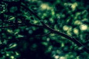 夢(mèng)到鼻子壞了，一次心靈的覺(jué)醒