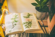 游戲荒，推薦一些免費(fèi)的游戲來(lái)填補(bǔ)你的空閑時(shí)間，免費(fèi)游戲推薦，讓生活更加豐富多彩