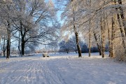 冰雪奇緣游戲——讓你置身于一個全新的冰雪世界！，冰雪奇緣冒險，沉浸式游戲體驗帶你穿越奇妙冰雪世界