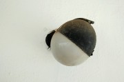 夢境中的蛆——探索內(nèi)心深處的象征意義，夢境中的蛆，探索內(nèi)心深處的象征意義