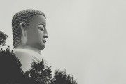 夢中之旅，與他人共度的奇妙時光，夢中之旅，與他人共度的奇妙時光