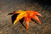 揭秘日本網(wǎng)站流量查詢網(wǎng)站，助力企業(yè)精準(zhǔn)洞察市場動(dòng)態(tài)，深度解析，日本網(wǎng)站流量查詢工具，助力企業(yè)洞悉市場脈搏，深度解析，日本網(wǎng)站流量查詢工具，助企業(yè)精準(zhǔn)把握市場脈搏