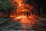 夢(mèng)中奔跑的啟示，夢(mèng)中奔跑的啟示