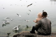 馬斯克，突發(fā)！海湖莊園傳來(lái)大消息，全球數(shù)百萬(wàn)人大集結(jié)……