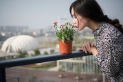 夢中邂逅，女孩的神秘世界，夢中邂逅，女孩的神秘世界