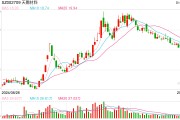 電解液“一哥”天賜材料業(yè)績再腰斬，比兩年前少賺50億元