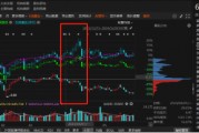 祥源文旅非經(jīng)營性資金占用雖已歸還，但仍被出具警示函！