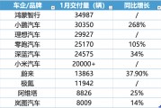 蔚來跟進特斯拉5年0息政策，1月新勢力車企座次再一次生變