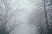 夢境中的奇妙之旅，一次關(guān)于屎的夢境解析，夢境中的奇幻之旅，屎的夢境解析
