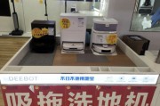 年輕人追捧“電子年貨”！掃地機器人熱銷，科技感與煙火氣交融｜新春走基層