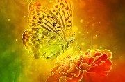季節(jié)游戲，免費游戲的狂歡盛宴，電子競技，一場無需付費、歡樂無邊的游戲盛宴